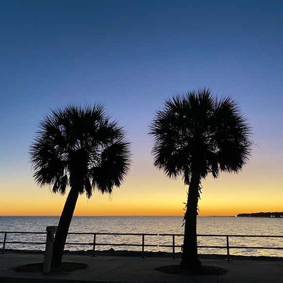Meet your Posher, Mary - Picture 13 of 16